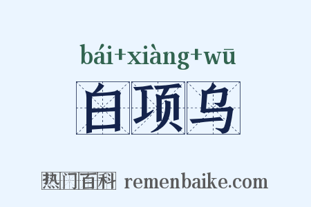 白项乌是什么意思的图片
